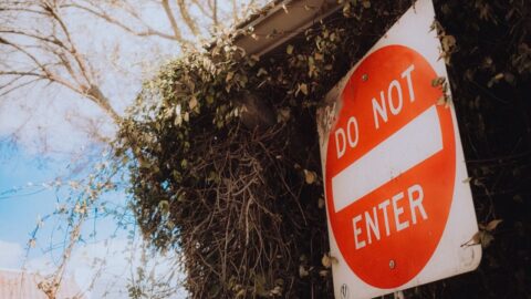 A red and white do not enter sign next to some foliage