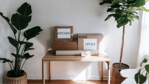 Stylish interior with moving boxes labeled 'Kitchen' and 'Office' on a wooden table surrounded by houseplants