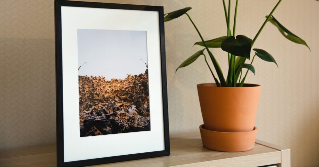 A minimalist interior featuring a Monstera plant and framed art on a wooden shelf